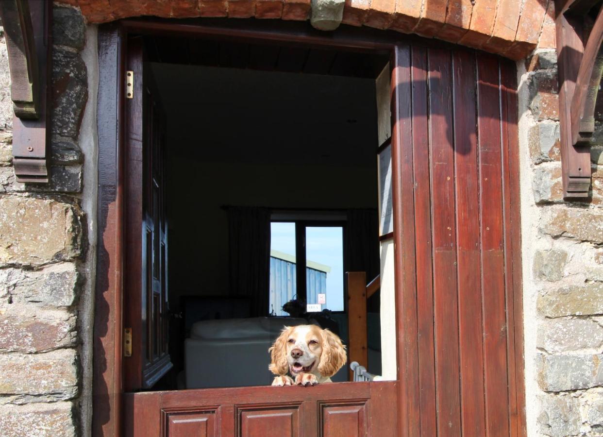 Houndapitt Cottages Bude Exterior foto